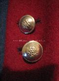 15th Century Livery Coat - Button Detail