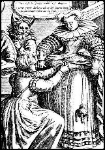 16th Century