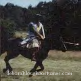 Norman Cavalry for English Heritage