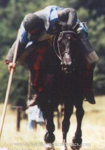 Anglo Norman Cavalry for English Heritage